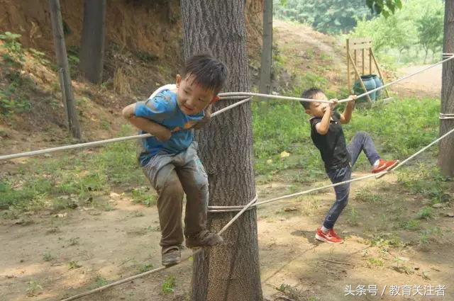 一所鼓舞人心的郑州森林学校，真人打地鼠、山坡滑梯、轮胎攀岩！