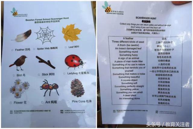 一所鼓舞人心的郑州森林学校，真人打地鼠、山坡滑梯、轮胎攀岩！