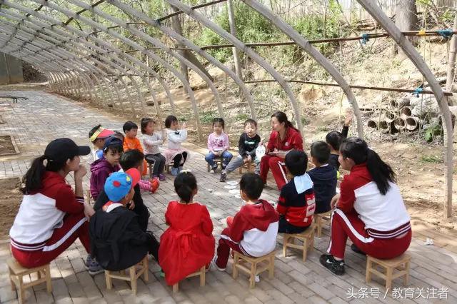 一所鼓舞人心的郑州森林学校，真人打地鼠、山坡滑梯、轮胎攀岩！