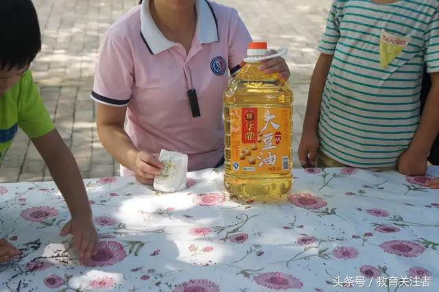 一所鼓舞人心的郑州森林学校，真人打地鼠、山坡滑梯、轮胎攀岩！