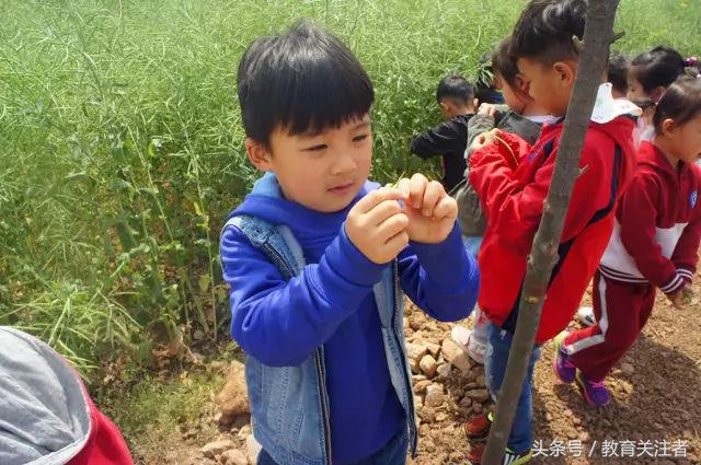 一所鼓舞人心的郑州森林学校，真人打地鼠、山坡滑梯、轮胎攀岩！