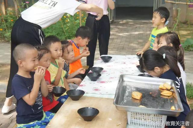 一所鼓舞人心的郑州森林学校，真人打地鼠、山坡滑梯、轮胎攀岩！