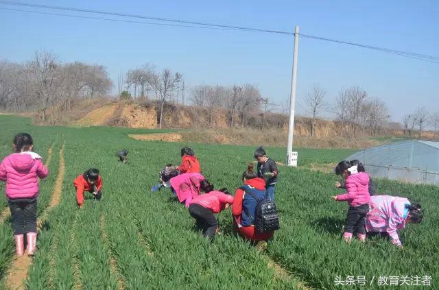 一所鼓舞人心的郑州森林学校，真人打地鼠、山坡滑梯、轮胎攀岩！