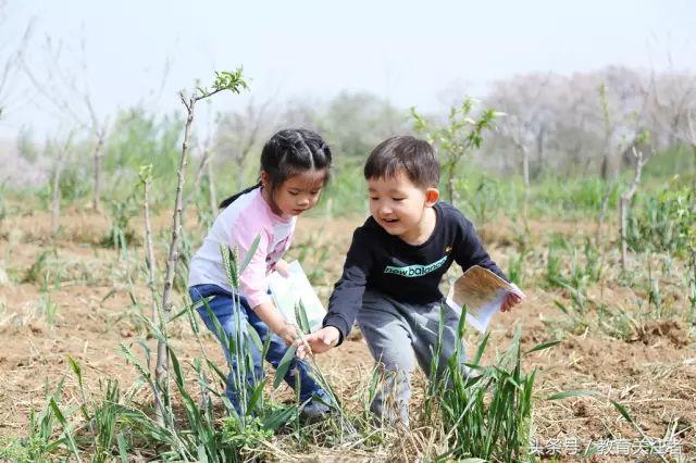 一所鼓舞人心的郑州森林学校，真人打地鼠、山坡滑梯、轮胎攀岩！