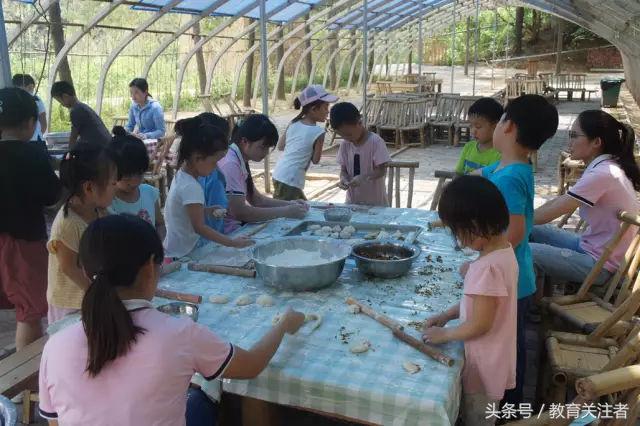 一所鼓舞人心的郑州森林学校，真人打地鼠、山坡滑梯、轮胎攀岩！