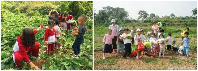 一所鼓舞人心的郑州森林学校，真人打地鼠、山坡滑梯、轮胎攀岩！