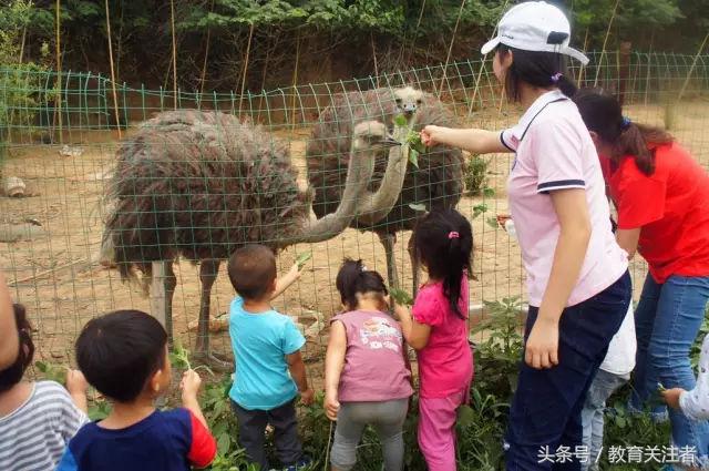 一所鼓舞人心的郑州森林学校，真人打地鼠、山坡滑梯、轮胎攀岩！