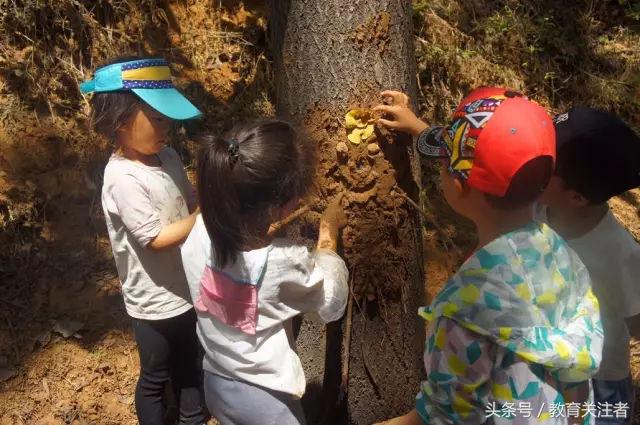 一所鼓舞人心的郑州森林学校，真人打地鼠、山坡滑梯、轮胎攀岩！