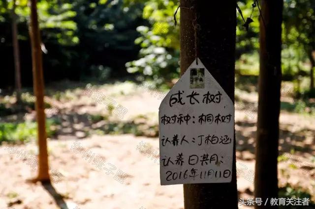 一所鼓舞人心的郑州森林学校，真人打地鼠、山坡滑梯、轮胎攀岩！