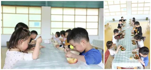 一所鼓舞人心的郑州森林学校，真人打地鼠、山坡滑梯、轮胎攀岩！