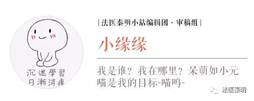 幼儿园突发爆炸，嫌疑人却如人间蒸发一般消失了