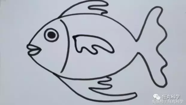 随手简单几笔就能画出一条好看的卡通鱼 随手简单几笔就能画出一条