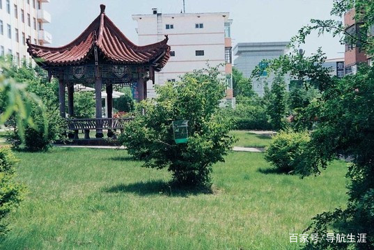 东北大世界的医学类院校，了解一下