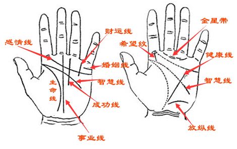 拥有这种手掌纹路的女人，一辈子不缺钱的命！你属于吗？