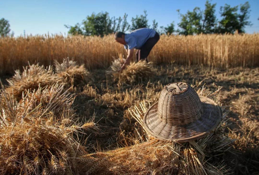 大西北上的吃货重镇