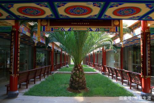 西南地区的医药类院校汇总，你了解一下