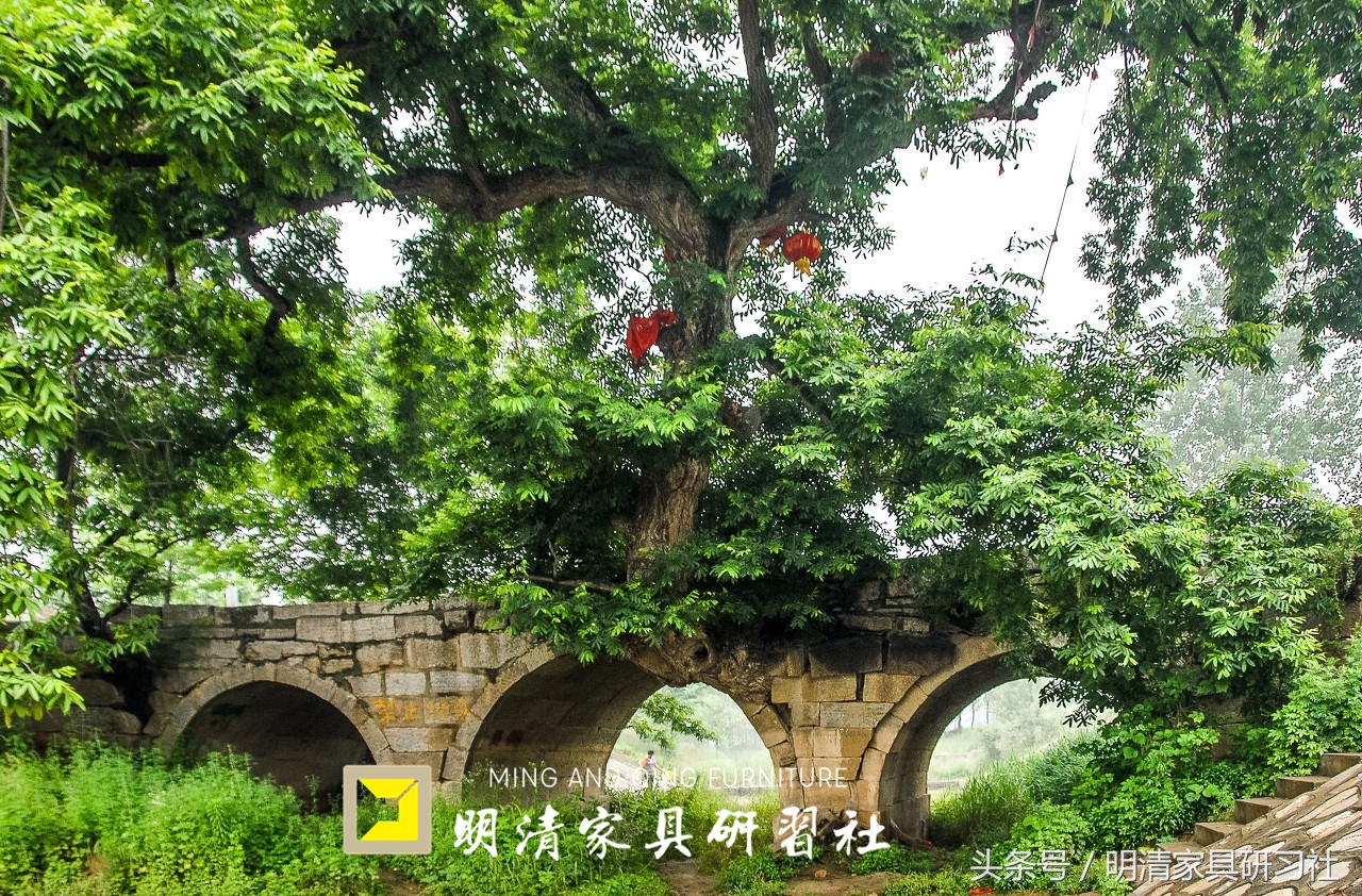 看老祖宗的工艺，三百年的桥扛起两百年的树，至今任然可以开坦克