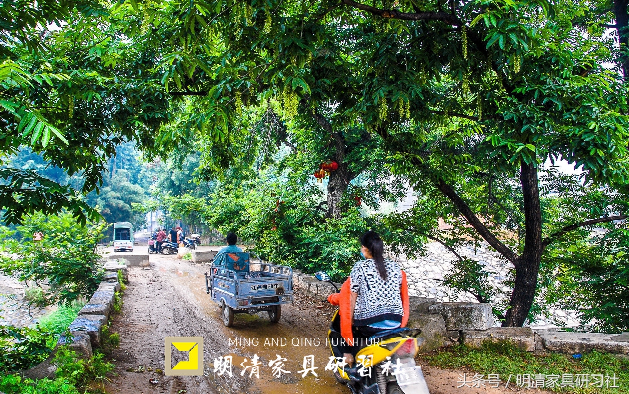 看老祖宗的工艺，三百年的桥扛起两百年的树，至今任然可以开坦克