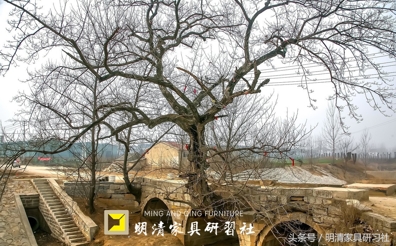 看老祖宗的工艺，三百年的桥扛起两百年的树，至今任然可以开坦克
