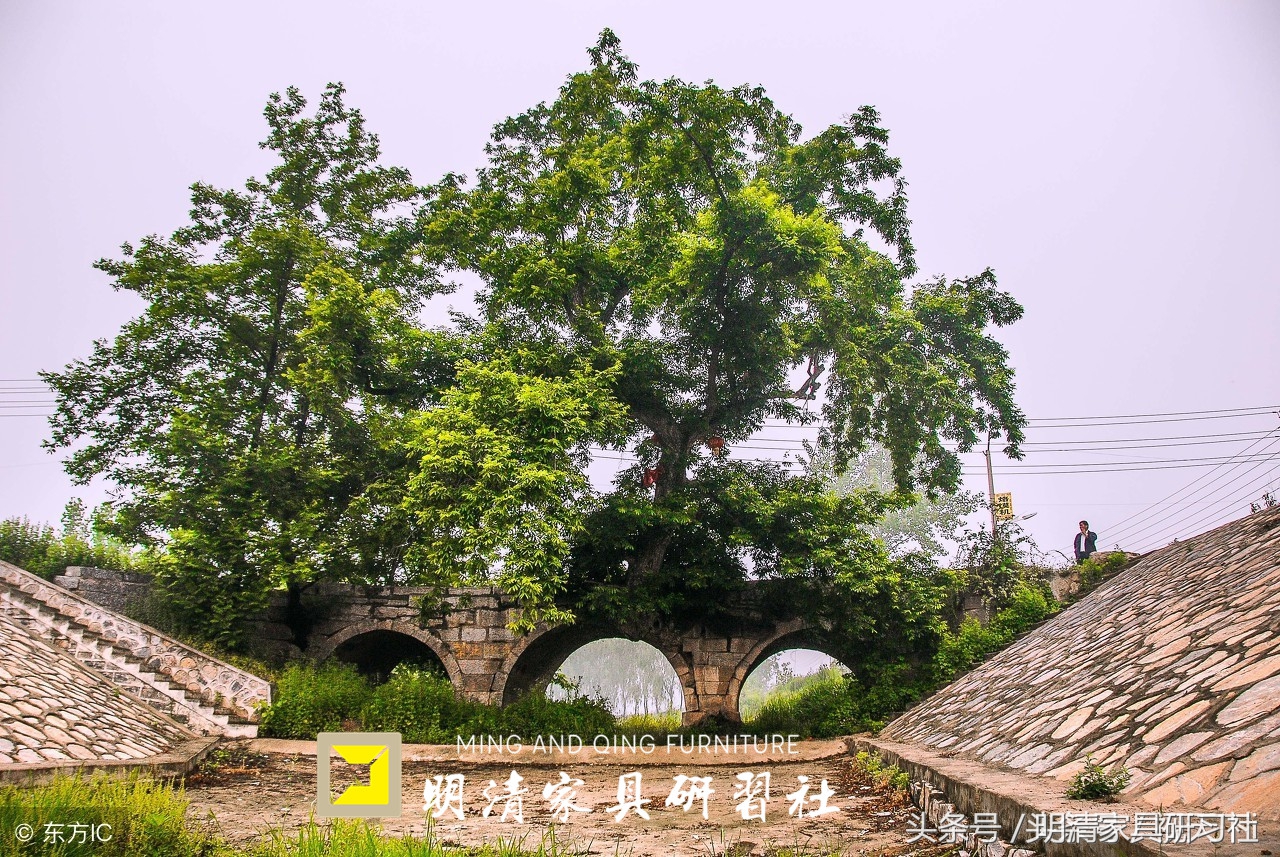看老祖宗的工艺，三百年的桥扛起两百年的树，至今任然可以开坦克