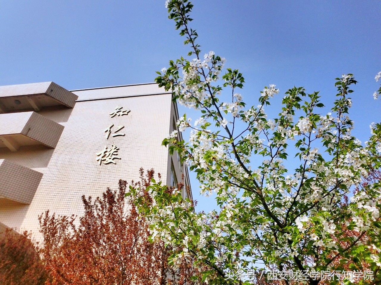 “浐灞之畔、白鹭之巅”｜2018西安财经学院行知学院欢迎你的加入！