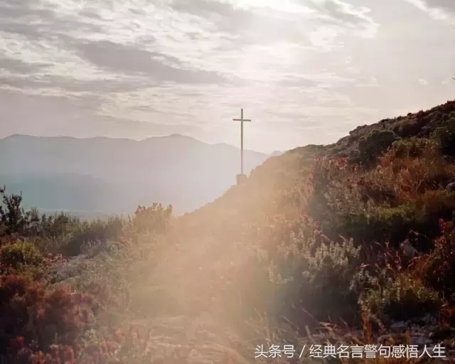 狼性造富人，羊性变穷人！