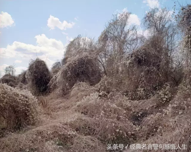 狼性造富人，羊性变穷人！