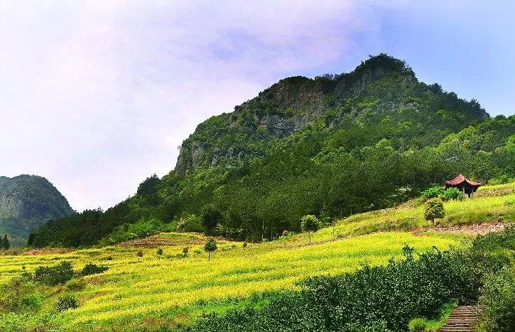 义乌上溪这个著名景点"面貌全非",让人不忍直视!