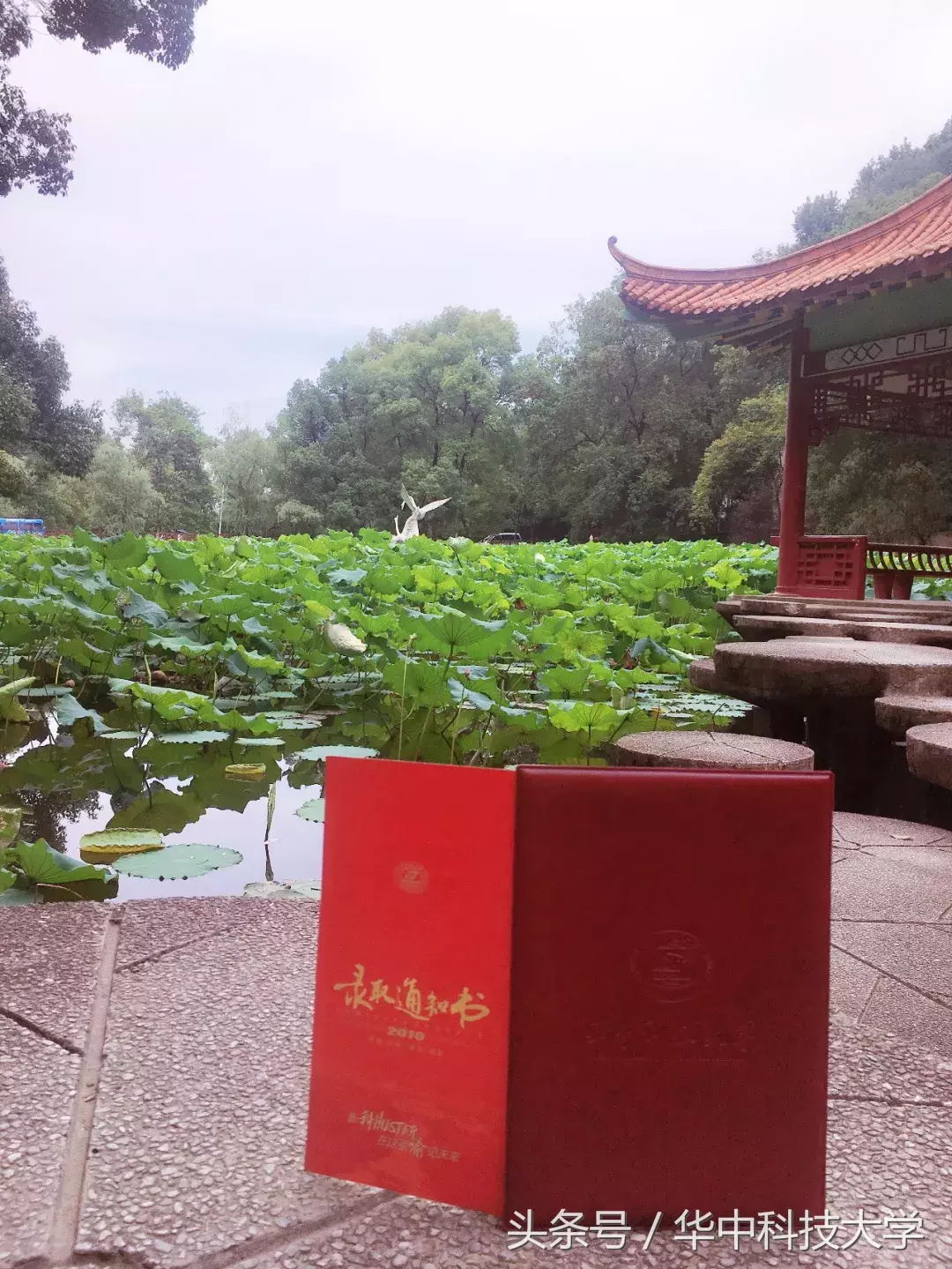 来了！2018级“新科”HUSTer，你的华中大录取通知书请查收~