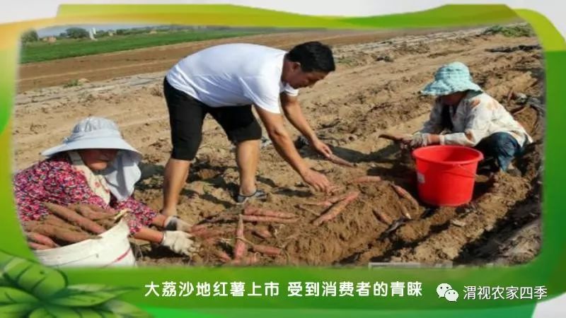 我省農(nóng)機(jī)購(gòu)置補(bǔ)貼APP上線 農(nóng)戶可用手機(jī)申請(qǐng)補(bǔ)貼