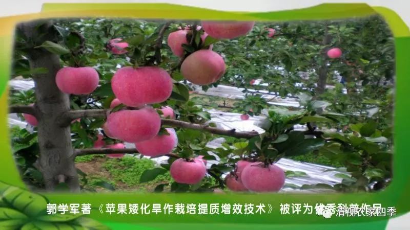 我省農(nóng)機(jī)購(gòu)置補(bǔ)貼APP上線 農(nóng)戶可用手機(jī)申請(qǐng)補(bǔ)貼