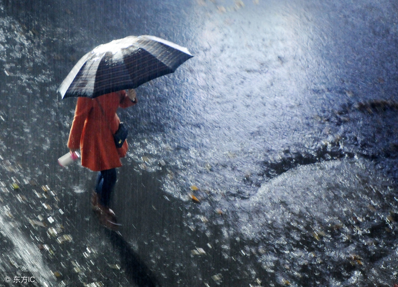 清晨,风雨大作!