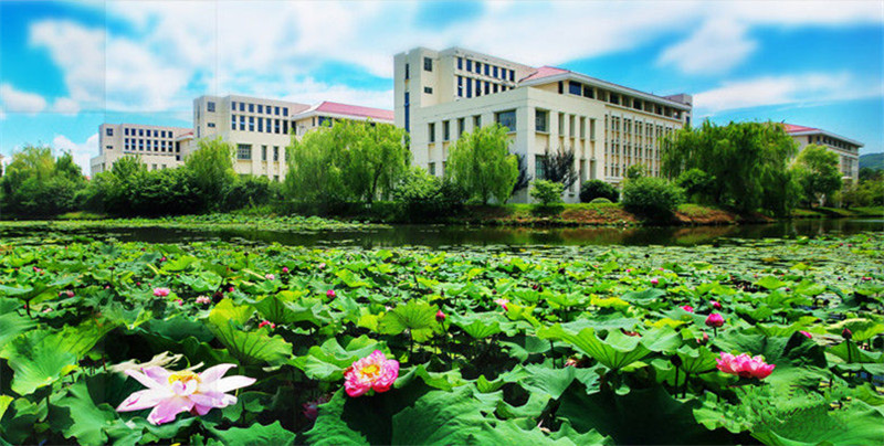 江苏专转本 金陵科技学院