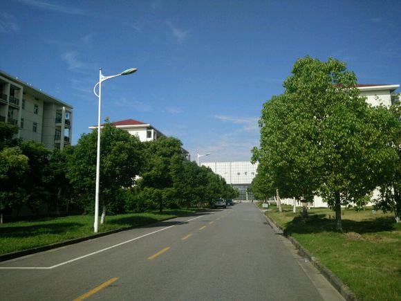 江苏专转本 金陵科技学院