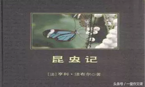 八年级必读名著《昆虫记》《傅雷家书》《平凡的世界》读书笔记