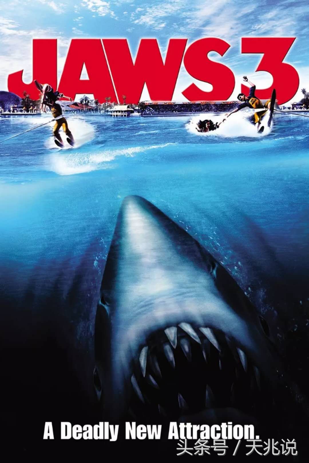 大白鲨电影剧情「详细介绍」 _晶羽科技