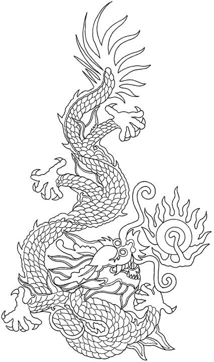 高清龙纹手绘线稿资料,拿去画
