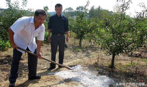 土壤酸化、根线虫、土传病害防治困难？一个方法教你巧妙解决！