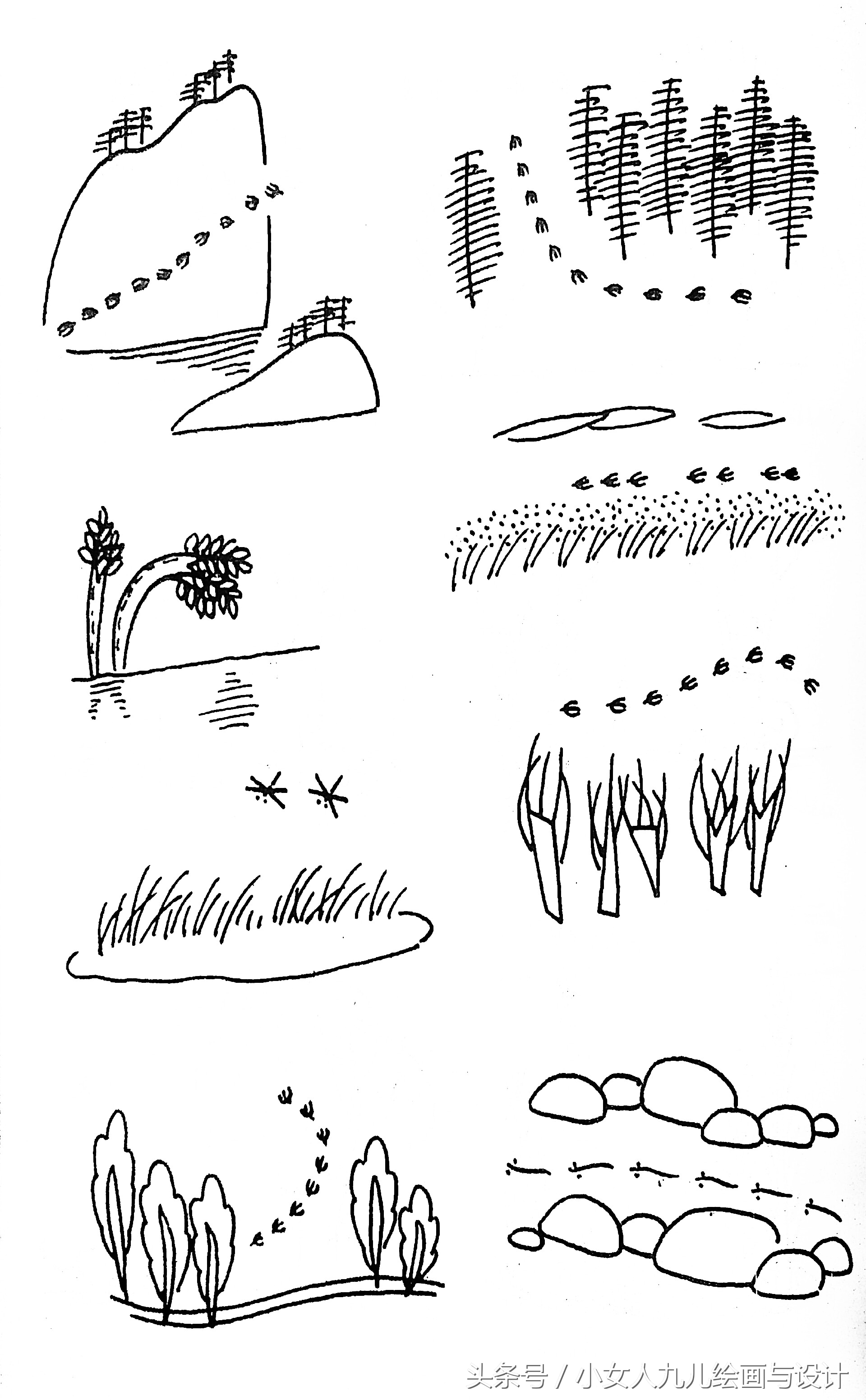 大树简笔画(简笔画 大树 小树 形态各异风景树的百种线描表现素材)