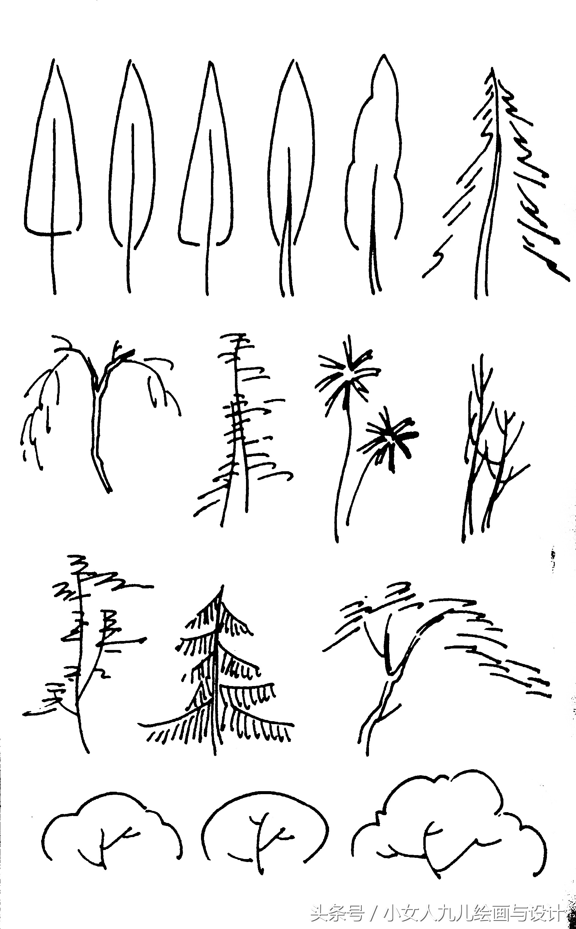 形态各异的树图画图片
