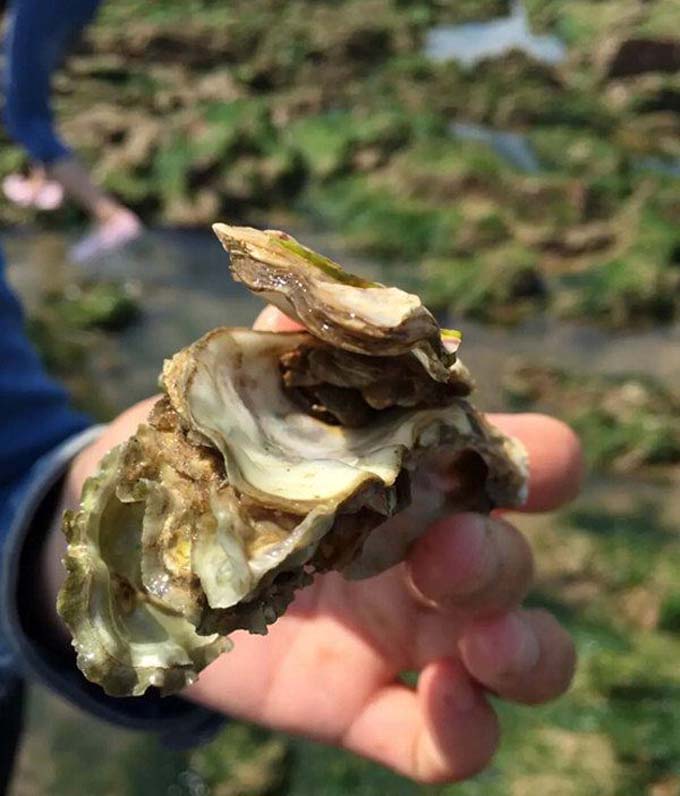 三个人的海滨之旅—日照吴家台我们来啦~