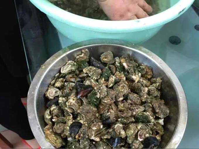 三个人的海滨之旅—日照吴家台我们来啦~