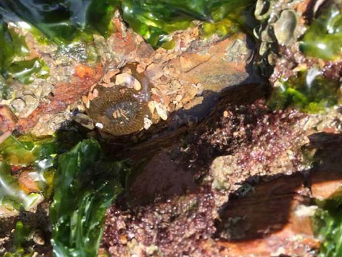 三个人的海滨之旅—日照吴家台我们来啦~