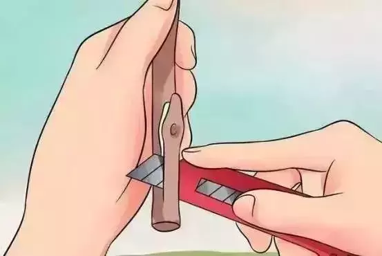 果树上最常用的5种嫁接法(图文篇,建议收藏)