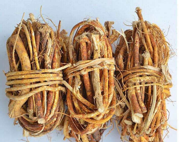 农村常见的五指毛桃,您了解吗?用来煮汤喝能补肺健脾,还祛湿气