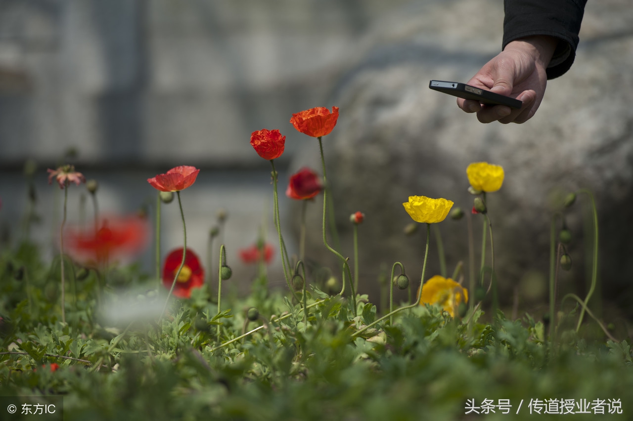 好词好句积累：描写心理活动的句子与成语，形象生动的刻画出来！