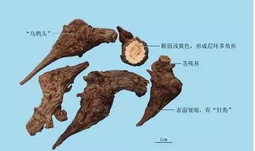 这4类中成药,不能长期服用,但大部分人不知道!