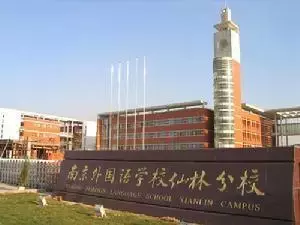 南京苏杰学校学费（南京十大土豪小学）