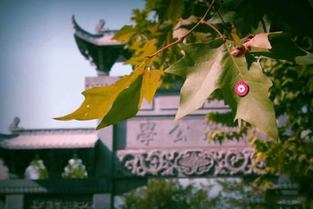 诗情画意，初秋的交大是仙交本仙了！