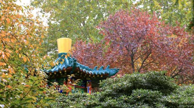 诗情画意，初秋的交大是仙交本仙了！